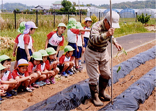 さつまいも植え